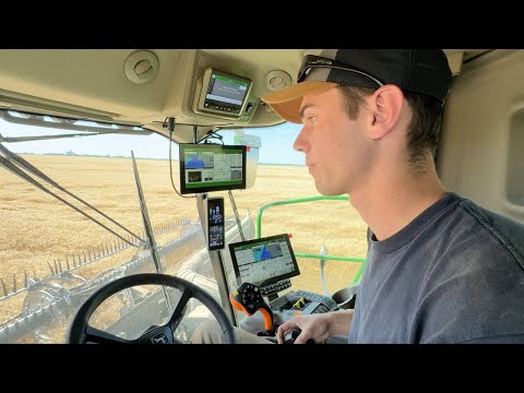 MVB Player Profile - Ryden Hargreaves