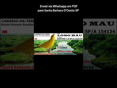 Enviei via Whatsapp em PDF para Santa Barbara D'Oeste-SP 🔥🫅