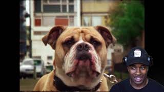 AVELINO ENERGY REACTION