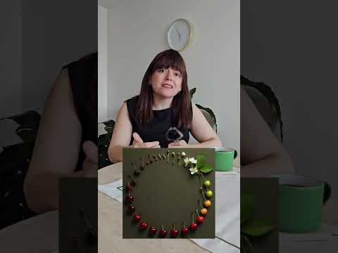 Sema Şahin Erol-69
