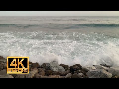 [FREE DOWNLOAD] Ocean Waves Crashing into Rocks with Splash and Foam | 4K ULTRA HD