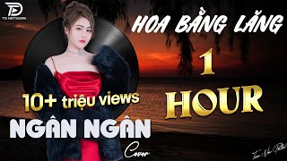 HOA BẰNG LĂNG ( 1HOUR ) ♫ NGÂN NGÂN COVER -