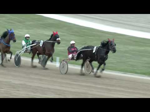 2017.04.15. 8. futam - IPSE HENDIKEP