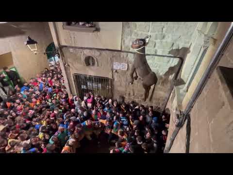 Penjada del Ruc - Carnaval de Solsona 2025