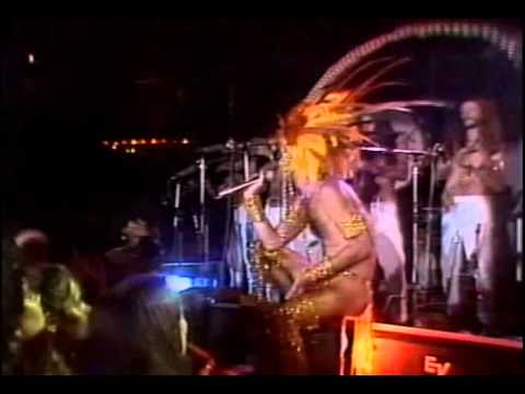 Folia No Matagal video