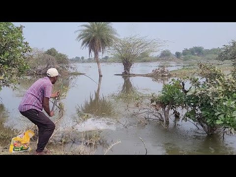 Best Fishing 🎣spot Single Hook to Catching Rohu Fishes unique Fishing 