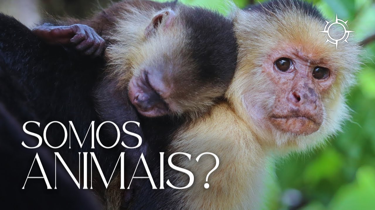 Humanos e Animais: O Que nos Une e nos Separa? | Mundo Animal | Origens