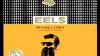 Eels - That look you give that guy.mp4