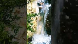 Download lagu gemericik air dan kicauan burung pelanduk semak mp3 Download lagu gemericik air dan kicauan burung pelanduk semak mp3