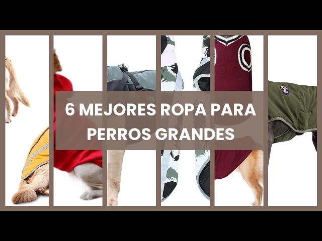 Vídeo relacionado con Eastlion Ropa Perro Grande,Cálido Sudadera con Capucha para Perros Algodón Suéter Chaqueta Abrigo Costume Pullover para Mascota Perro Gato (Rojo,5XL)