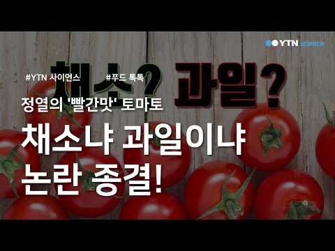 , title : '정열의 '빨간맛' 토마토…채소냐 과일이냐 논란 종결! / YTN 사이언스'