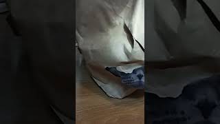 #shorts #britishshorthair #viral #funnycats Subscribe ❤️