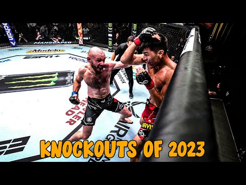 The Most Fantastic KNOCKOUTS #ufc #fight #mma PART 5