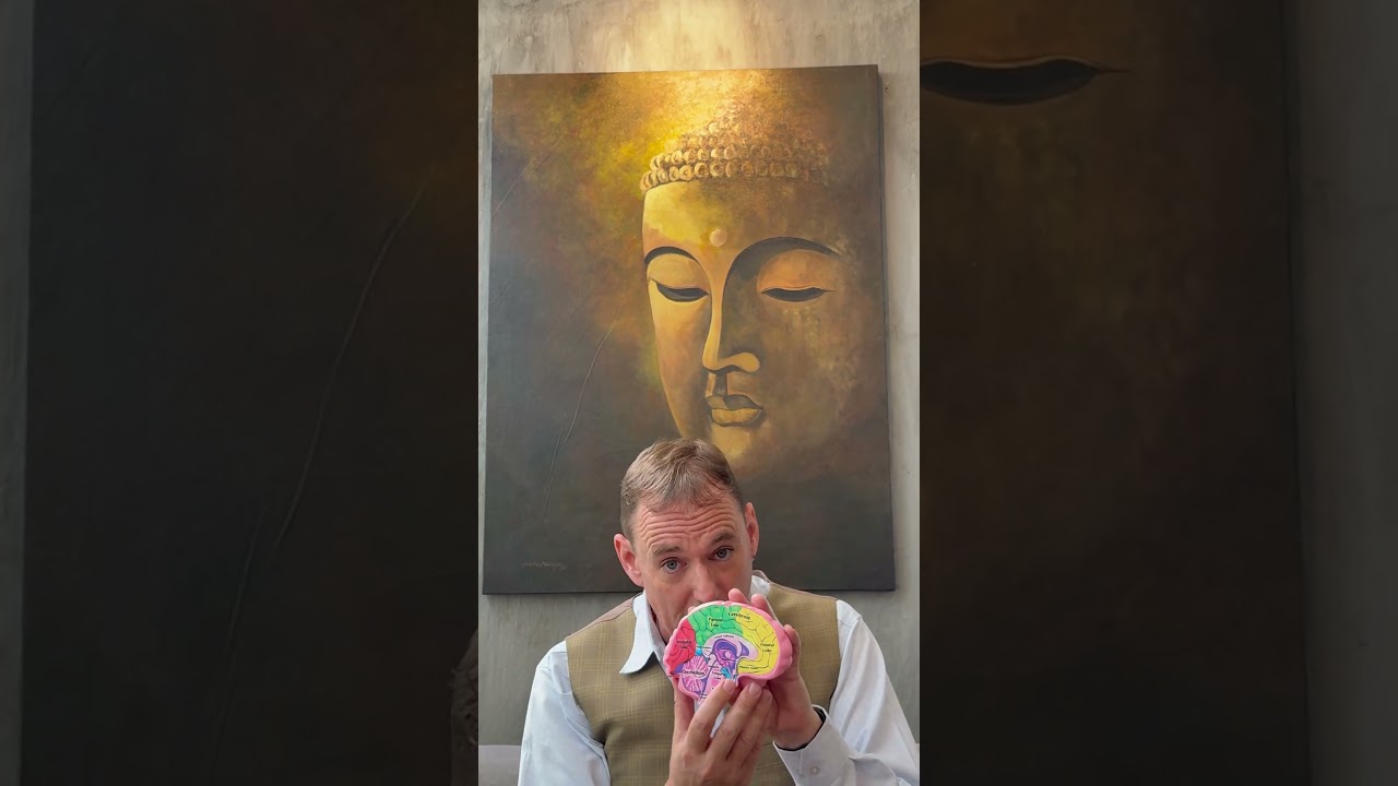 Video introduction — A. Michael Crook, Skillful Psychiatry