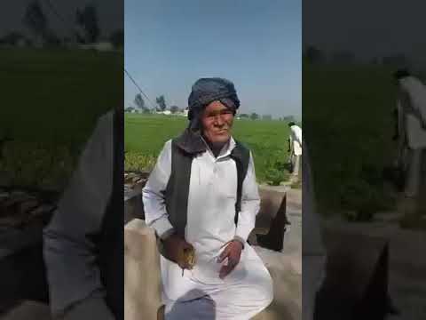 Beri wala Ghar menu Ajay tak yaad hai ਬੇਰੀ ਵਾਲਾ ਘਰ ਅਜੇ ਤੱਕ ਯਾਦ ਹੈ Baba ji  di awaz ਤੀਲਾਂ ਵਾਲ਼ੀ ਡਬੀ