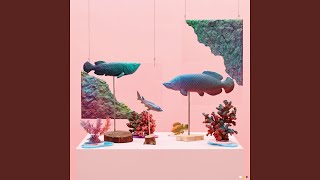 Stranger (feat. Crush)