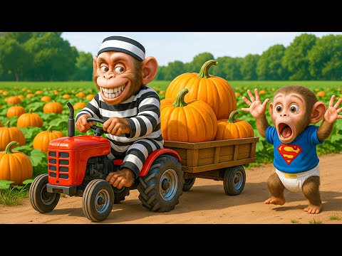 😱 Monkey ZuZu Drives Tractor to Save the Farm, Harvest Pumpkins & Chase a Thief! 🎃🐒