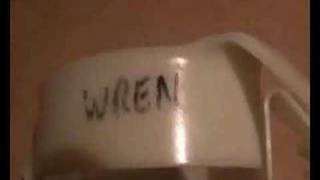 Look what they've done to my brain ma