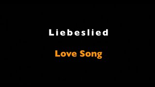 Die Toten Hosen | Liebeslied | English Subtitles &amp; Original Lyrics