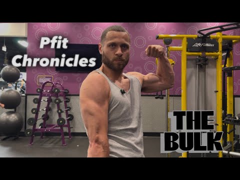 The Bulk Day 79 : Push Day