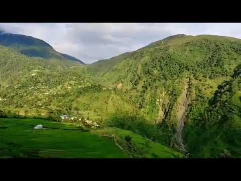 Boh Valley (Kangra) - 2022 What to Know Before You Go