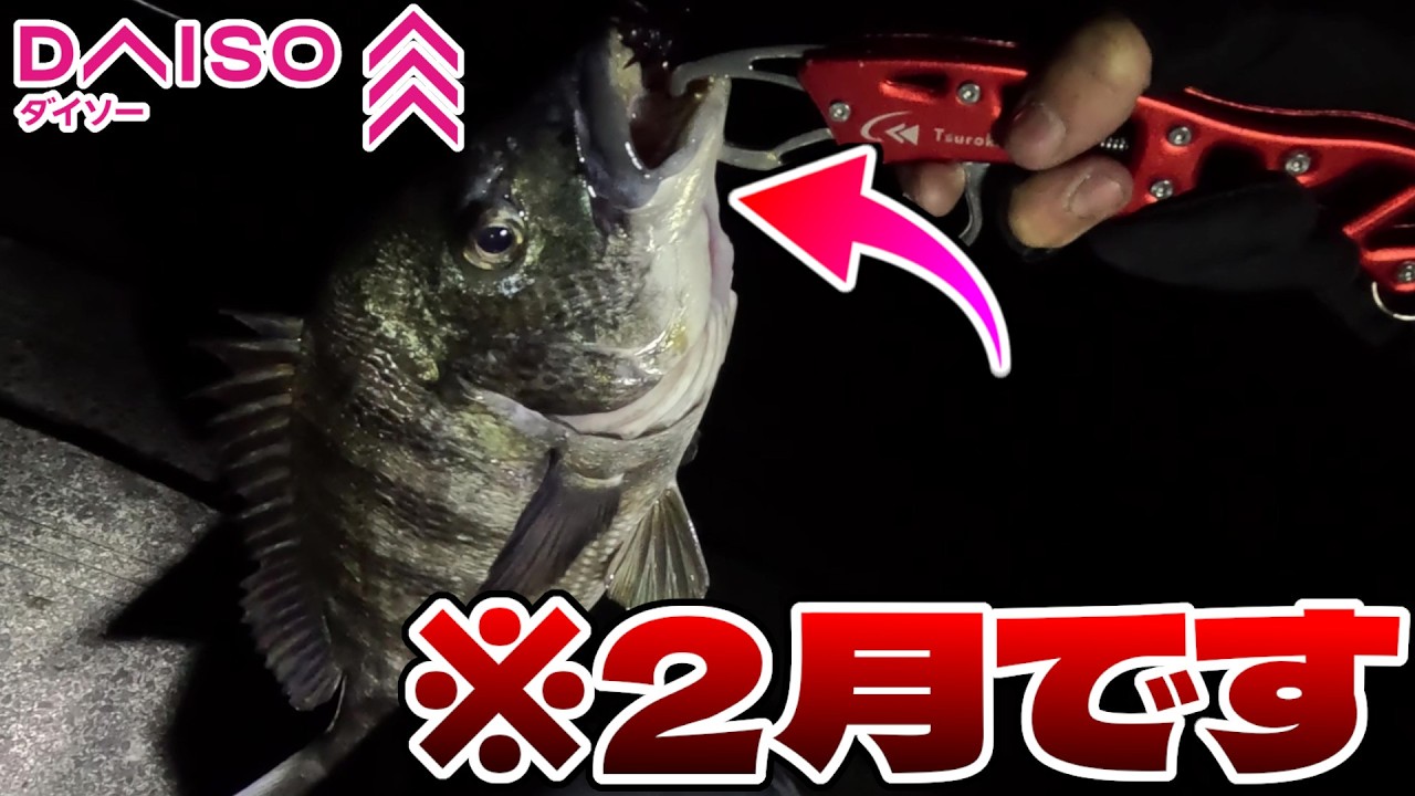 厳寒期２月の真冬の海でも100均のワームさえあれば河口でチヌが連発する