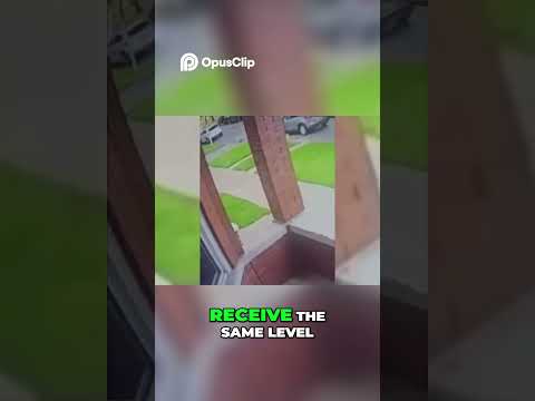 Bloodhound Lil Jeff Last Moments