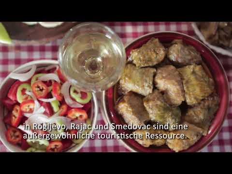 Gemeinde Negotin - Wir verstehen, was Ihnen wichtig ist! Leitfaden für Investoren