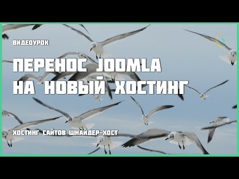 Видео Shneider host