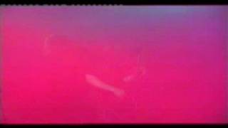 Eisregen - Des heilands Haut