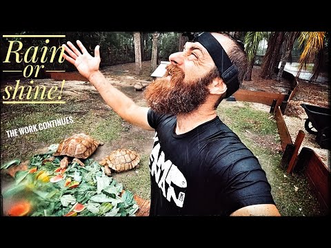Feeding all of my Animals in the Rain!