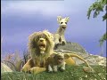العب بالسمسم Play With Me Sesame We Are All Earthlings Arabic