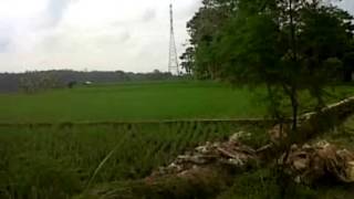 Download lagu Tembang Tarling Kupu Kupu Putih Aas Rolani mp3 Download lagu Tembang Tarling Kupu Kupu Putih Aas Rolani mp3