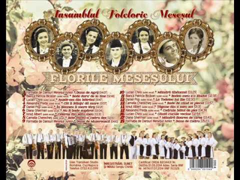 Daniel Pop - La Toderea lui Ilie