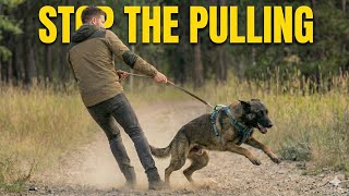Stop Leash Reactivity in Seconds