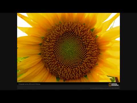 Tastes So Sweet-Audra Lynn