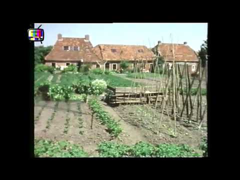 Ontdek je plekje: Winsum (AVRO, 26-01-1984)