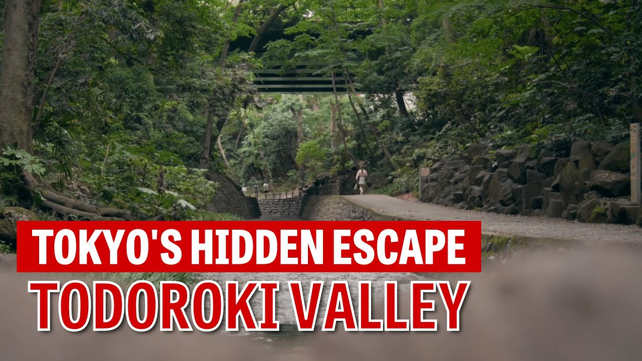 Dive into the captivating visual journey through Todoroki Valley!