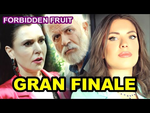 Forbidden Fruit Grand Finale - Previews on Channel 5