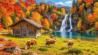 4K Autumn Forest 🍁 Healing Music & Peaceful Nature Sounds for Deep Relaxation