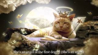 Van Morrison - "Tupelo Honey" - lyrics on screen