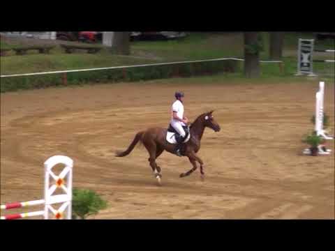 SIXX 6j. Hann St. v. Stanley - Escudo-Calypso ll VB 7.500,- Euro