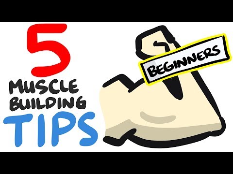 BEGINNERSのための5つの筋肉ビルのヒント (5 Muscle Building Tips For BEGINNERS)