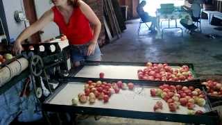 preview picture of video 'Apple washing'