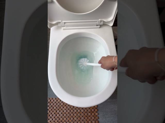 Vídeo relacionado con Limpiador de lavabo, cepillo de cerdas resistente, mango extendido para saneamiento de baños, accesorio eficaz con agarre antideslizante, uso portátil para apartamentos, moteles, público 14 x 15 x 40