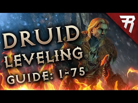 Druid Leveling Build Guide: Diablo 2 Resurrected 2.4 Ladder