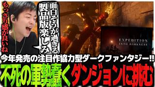 今年発売の注目作協力型ダークファンタジー!!不死の軍勢が蠢くダンジョンに挑むSasatikk【expedition into darkness】