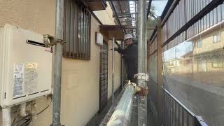 動画サムネイル