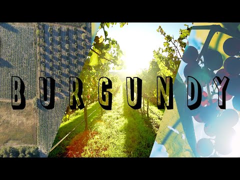 BURGUNDY wine region - Côte de Nuits and Côte de Beaune