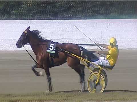 Trotto 28/09/2018 - 1ª corsa